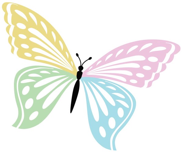 INT-Gordon's-Butterfly-with-highlites-small